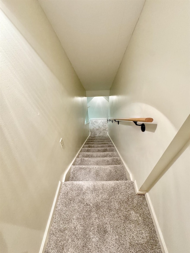 staircase featuring carpet flooring