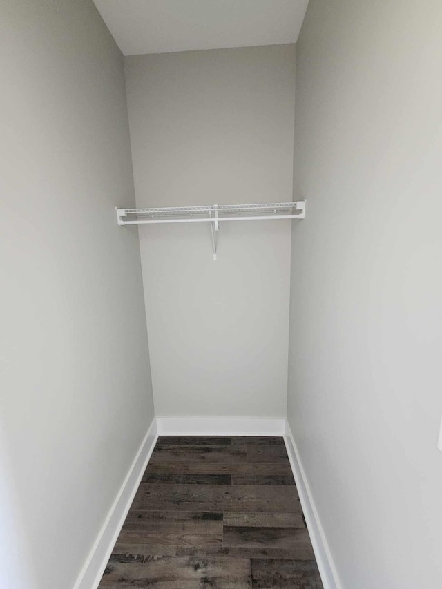 spacious closet featuring dark wood-type flooring