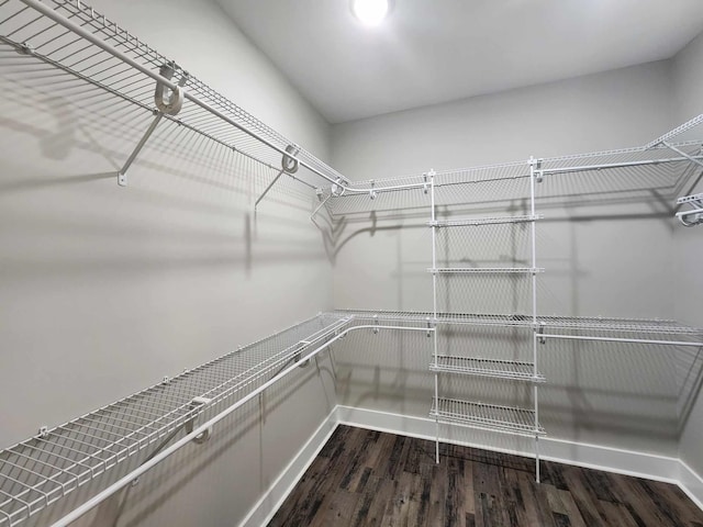 spacious closet with dark wood-type flooring