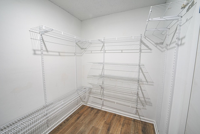  - photo 16