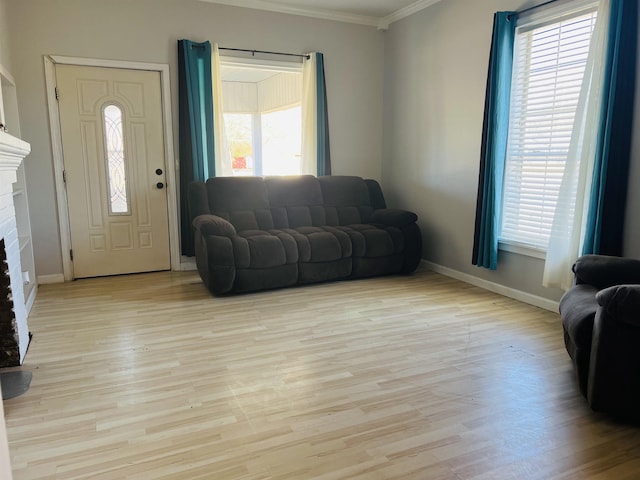 living room featuring a fireplace, light wood-type flooring, and plenty of natural light