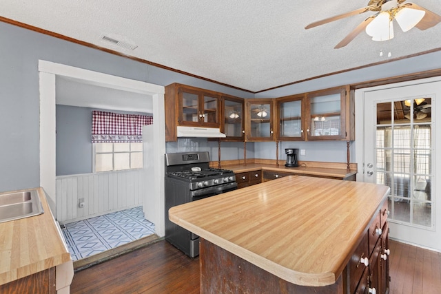 kitchen featuring stainless steel range with gas cooktop, dark hardwood / wood-style floors, a textured ceiling, and a wealth of natural light