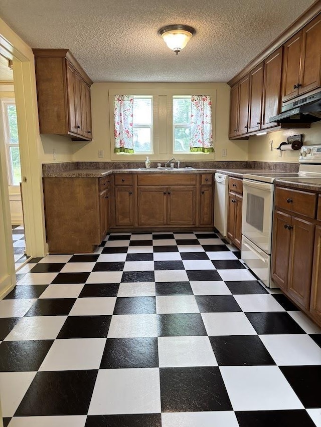 kitchen with brown cabinetry, white appliances, under cabinet range hood, and dark floors
