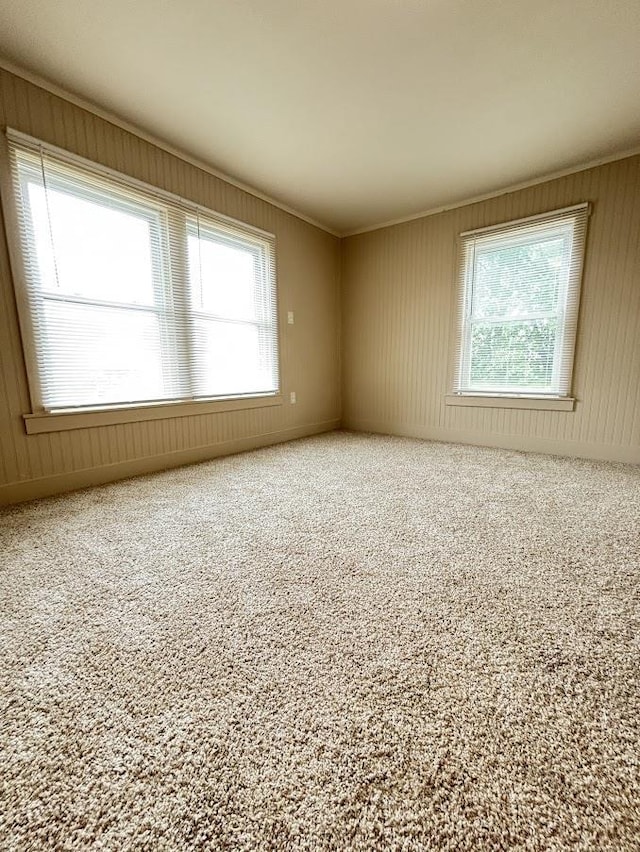 carpeted spare room featuring ornamental molding and a wealth of natural light