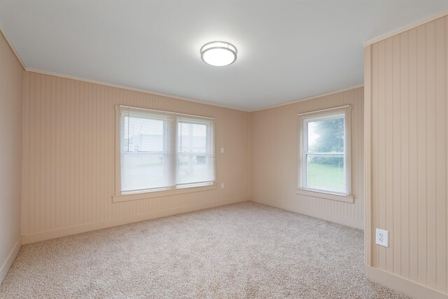  - spare room featuring plenty of natural light, crown molding, carpet, and baseboards