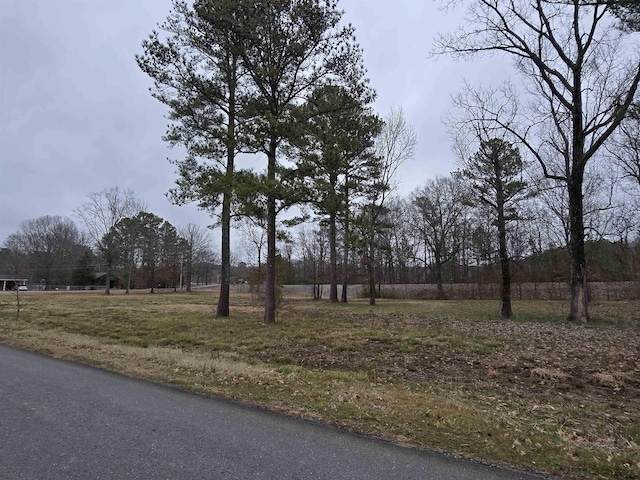 Listing photo 3 for 508 Lakeview Dr, Russellville AL