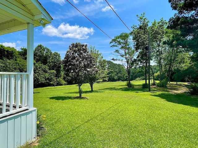 view of yard