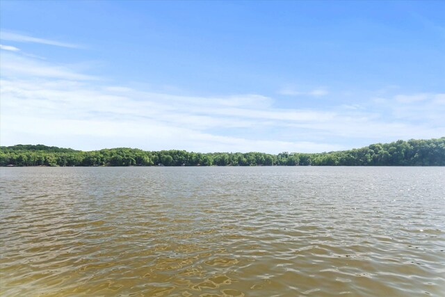 - photo 14