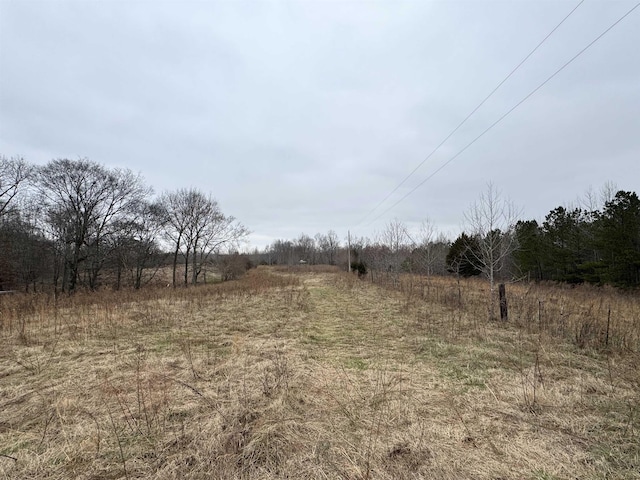 493 Rascal Town Rd, Loretto TN land for sale