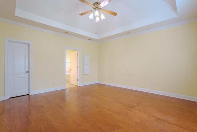 spare room with ceiling fan, a raised ceiling, and crown molding