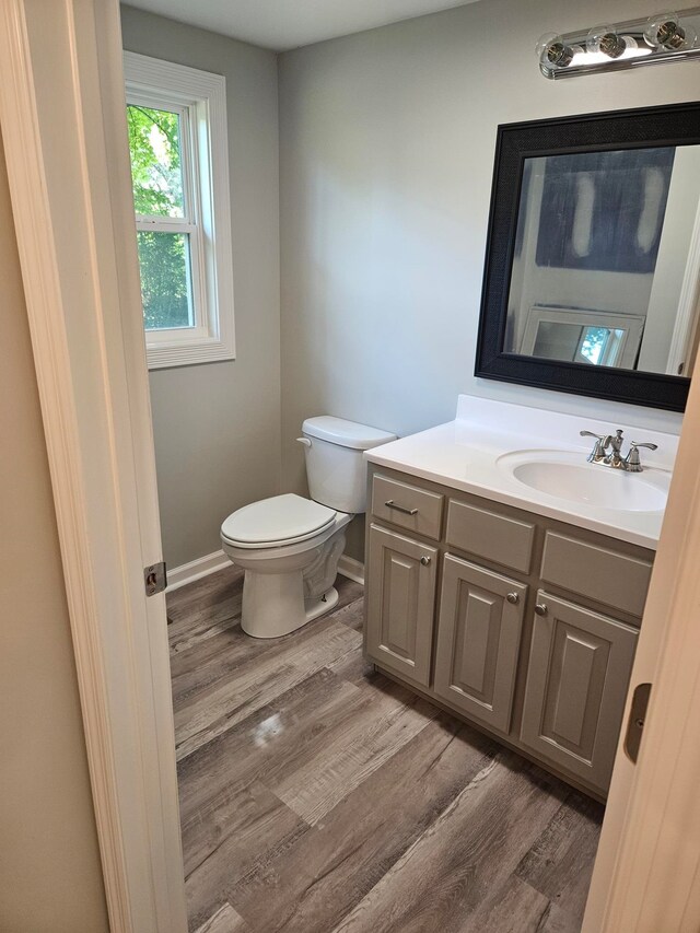 bathroom featuring vanity, toilet, and wood-type flooring