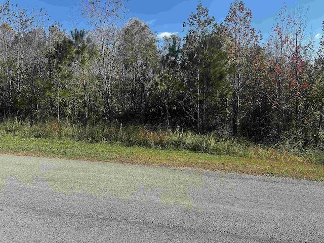 0 Clarendon Rd, Cullman AL land for sale