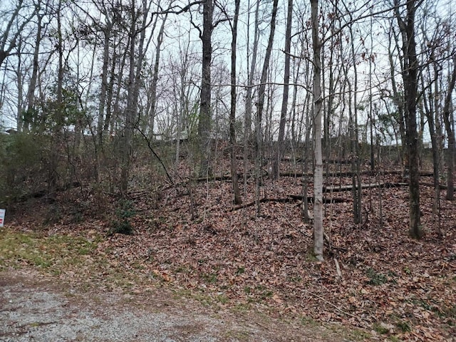 LOT1 Carrollton Dr Lot 1, Cullman AL land for sale