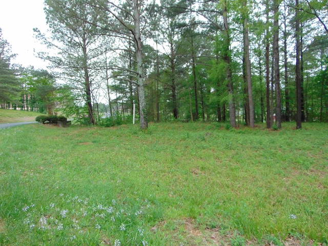 Listing photo 3 for 000 Twin Pines Cir, Tuscumbia AL