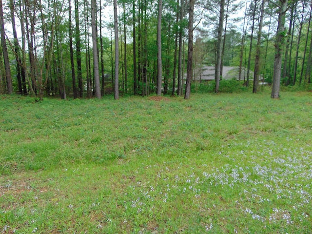 000 Twin Pines Cir, Tuscumbia AL land for sale