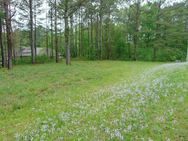 Listing photo 2 for 000 Twin Pines Cir, Tuscumbia AL