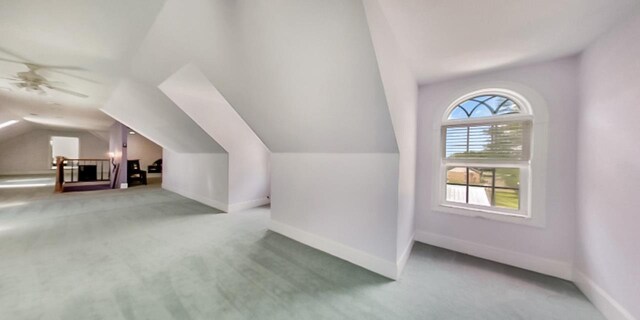  - photo 37