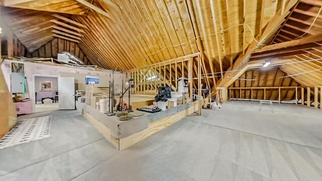  - photo 51