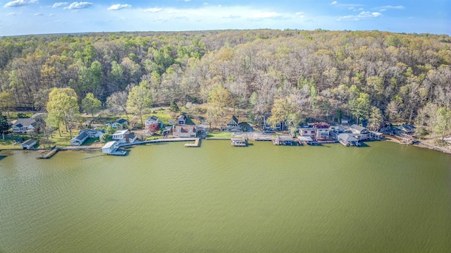 birds eye view of property with a water view and a forest view