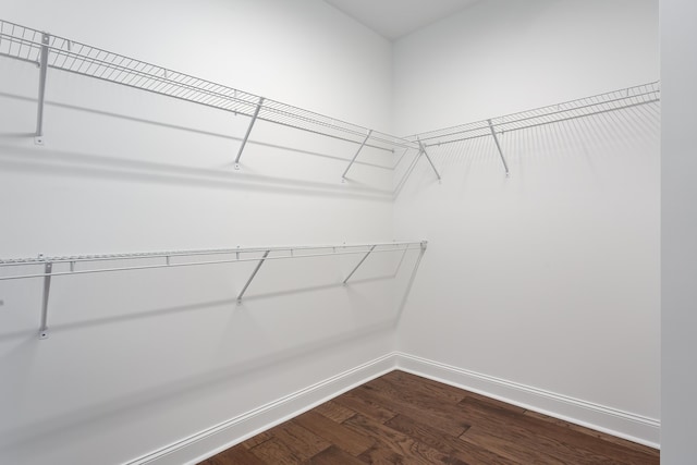 spacious closet with hardwood / wood-style floors