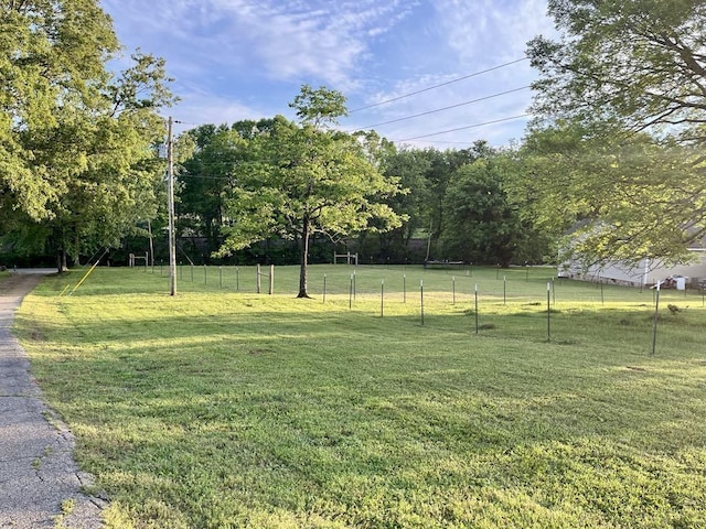  - view of yard