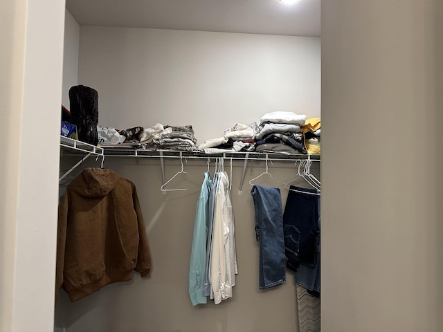 view of walk in closet