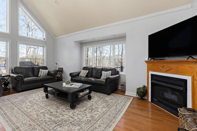 living area with a healthy amount of sunlight, baseboards, wood finished floors, and a glass covered fireplace