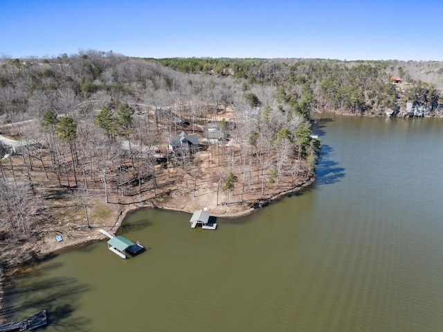 birds eye view of property featuring a water view and a wooded view