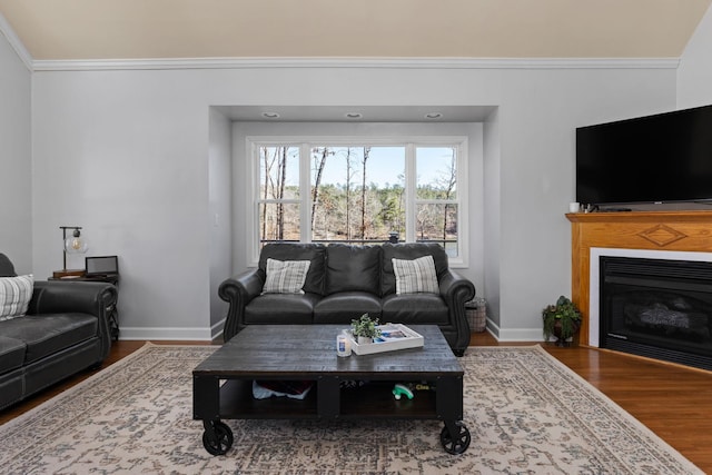 living area with ornamental molding, a glass covered fireplace, wood finished floors, and baseboards