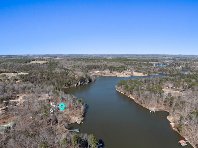 birds eye view of property with a water view and a view of trees