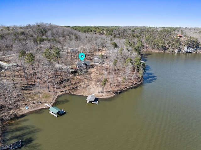 drone / aerial view with a water view and a wooded view