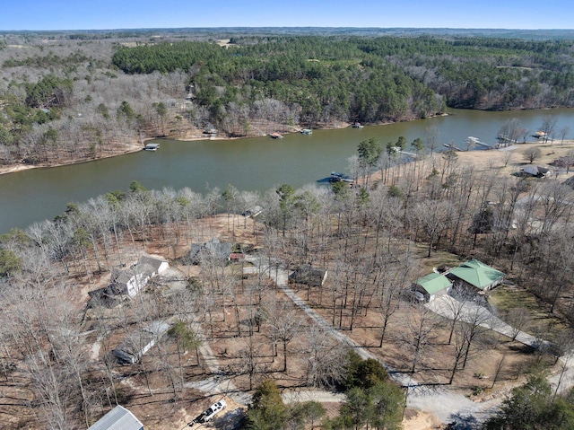 bird's eye view featuring a water view and a wooded view