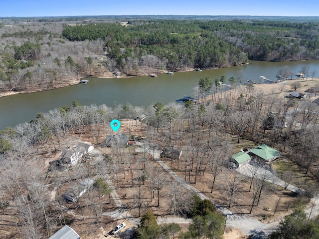 drone / aerial view featuring a water view and a view of trees