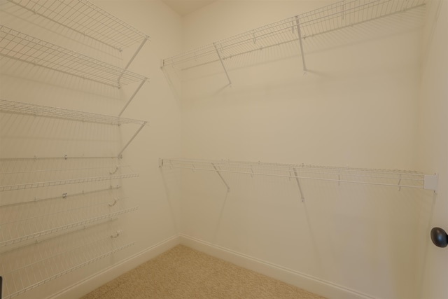 walk in closet featuring light carpet