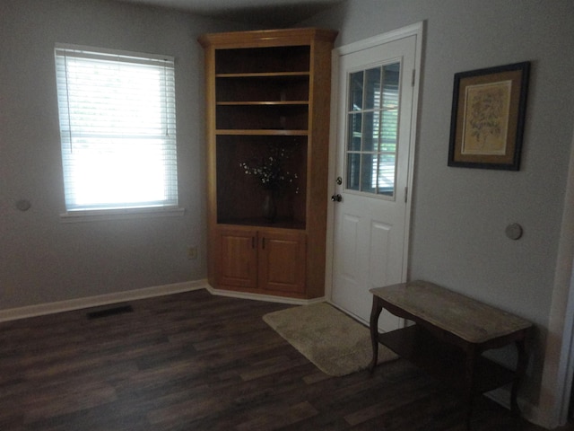 interior space with dark hardwood / wood-style floors