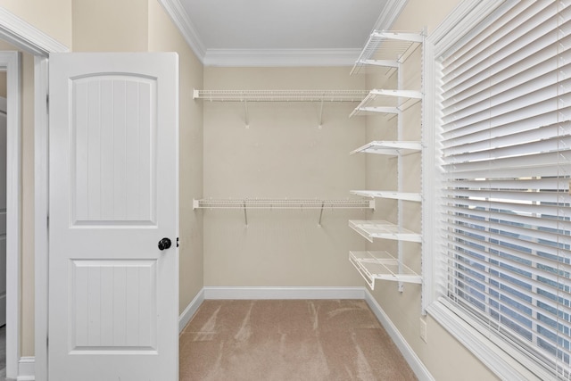 walk in closet featuring light carpet