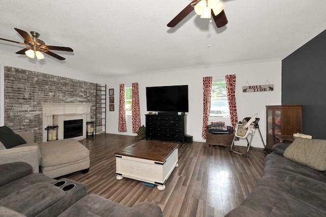 living area with ceiling fan, wood finished floors, and a wealth of natural light
