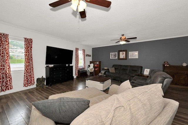 living area featuring ceiling fan, a wealth of natural light, and wood finished floors