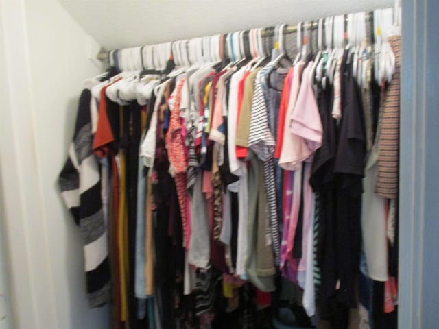  - photo 24