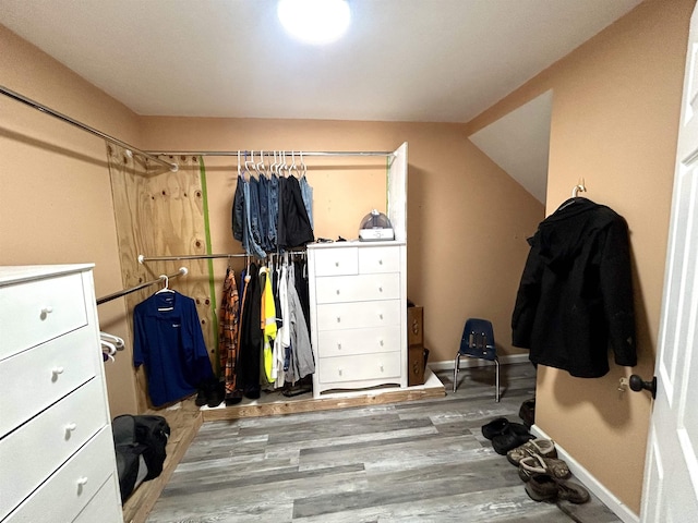 spacious closet featuring wood finished floors