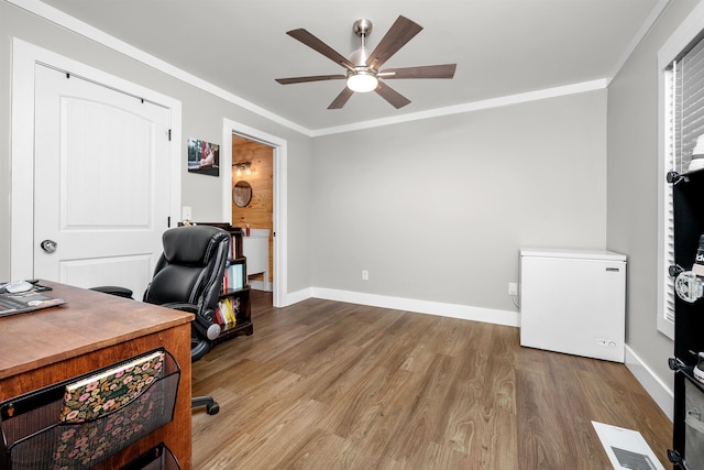 office area featuring ceiling fan, light wood-type flooring, and ornamental molding