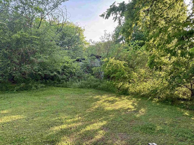 - view of yard with a view of trees