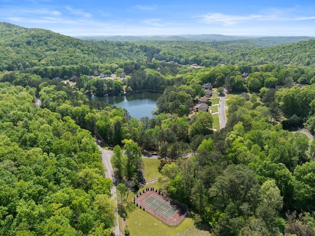 drone / aerial view of a forest and a nearby body of water