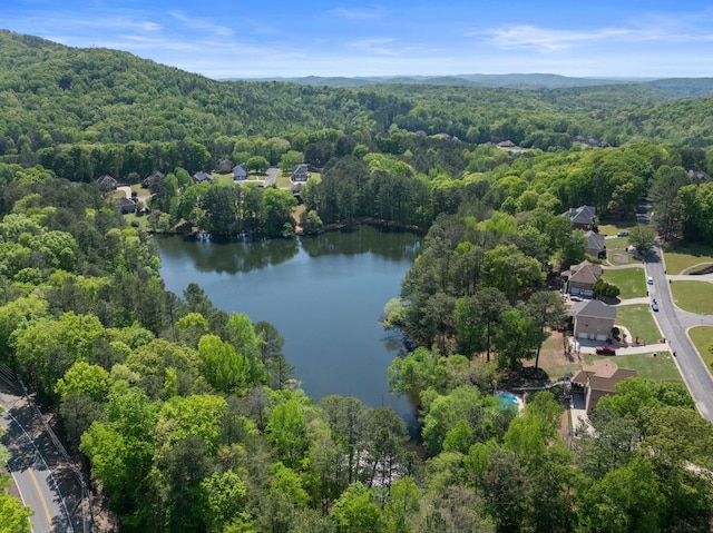 aerial view of a forest and a large body of water