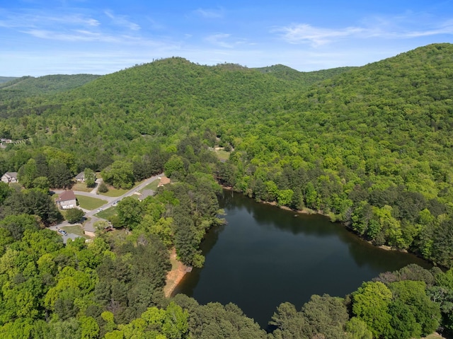 view of property location with a heavily wooded area and a nearby body of water