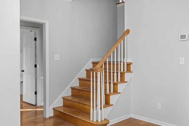 staircase featuring wood-type flooring