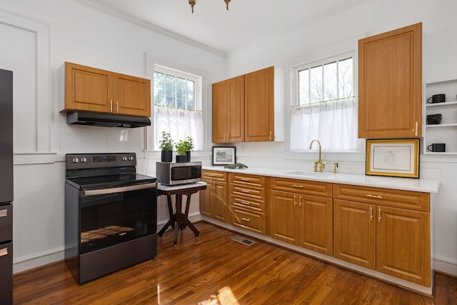  - kitchen with crown molding, a sink, stainless steel appliances, under cabinet range hood, and dark wood-style floors