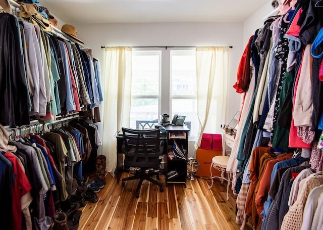 spacious closet with wood-type flooring