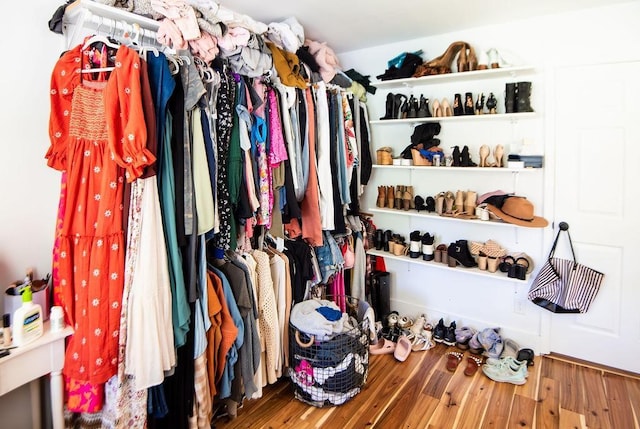 spacious closet with wood-type flooring