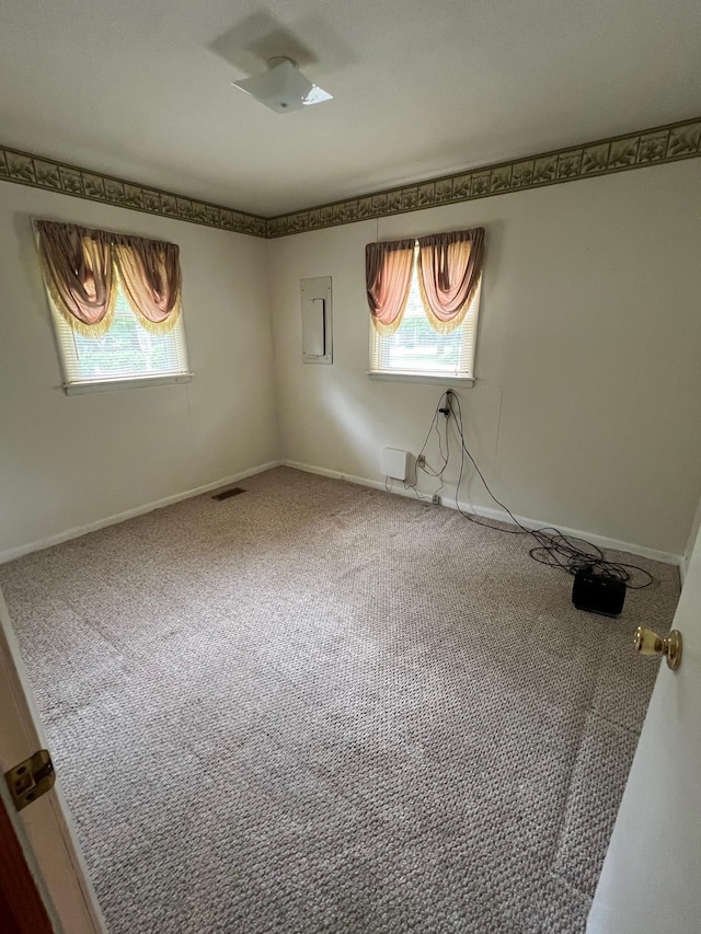 spare room featuring carpet floors, baseboards, and a healthy amount of sunlight